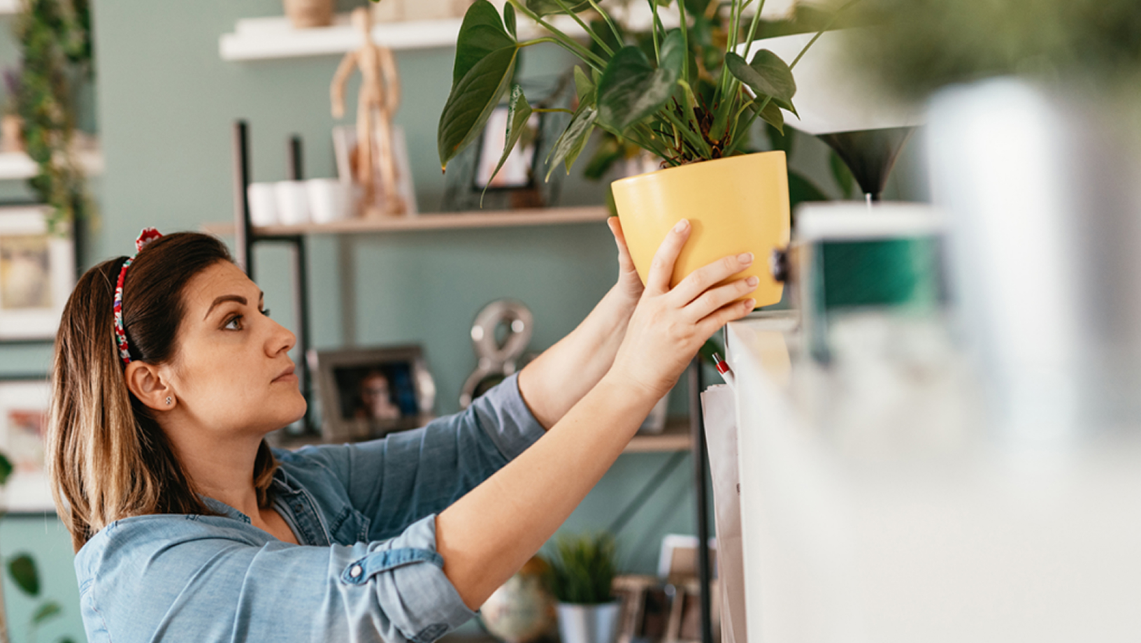 Cómo crear un hogar más verde: Mejora el bienestar en tu apartamento